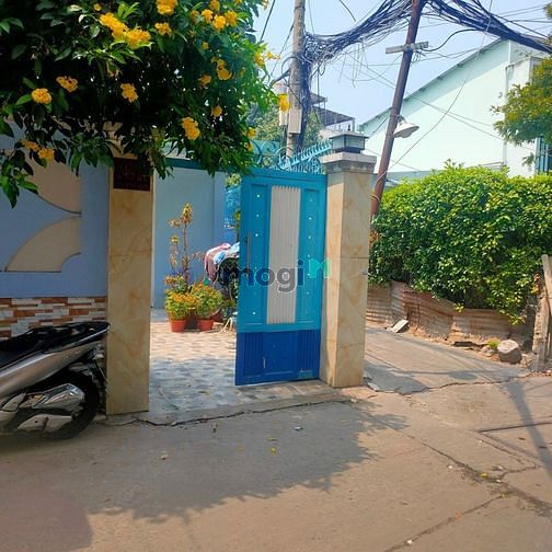 Hình ảnh Bán 3 căn nhà cấp 4-Hoàng Hoa Thám, P5, Quận Bình Thạnh