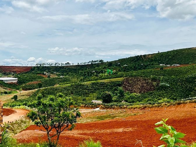 Hình ảnh Bán đất Nam Hà, Lâm Đồng gần TT Đà Lạt giá rẻ