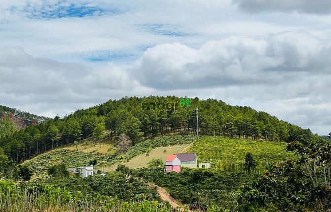 Hình ảnh Bán đất Nam Hà, Lâm Đồng gần TT Đà Lạt giá rẻ