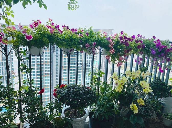 Hình ảnh Mb6623 nạp rút nhanh chóng cao cấp 3 pn giá 23 triệu bao phí giá tốt nhất Q2