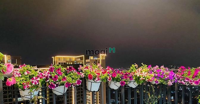 Hình ảnh Mb6623 nạp rút nhanh chóng cao cấp 3 pn giá 23 triệu bao phí giá tốt nhất Q2