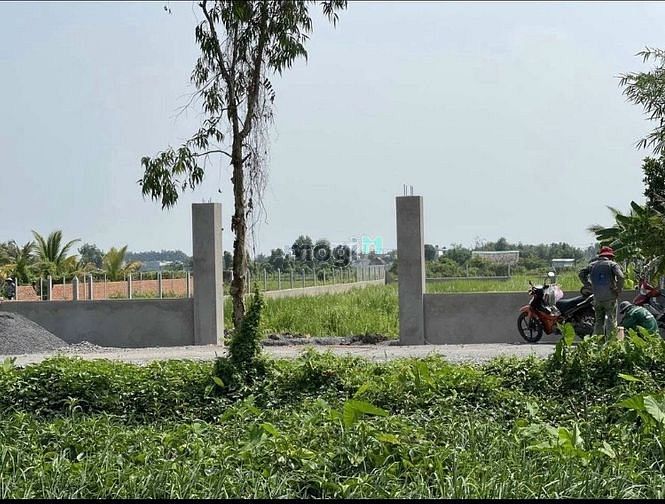 Hình ảnh Bán gấp Đất MT kênh Thi Đua - Bình Mỹ Củ Chi