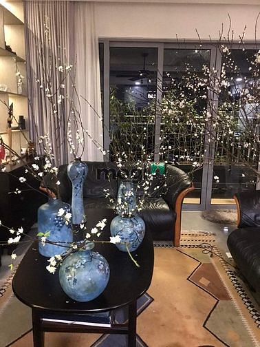 Hình ảnh Chuyển nhượng 3PN-Full NT cao cấp-125m2-Palm Heights