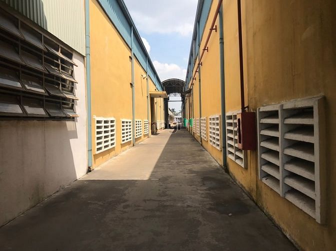 Hình ảnh Cho thuê đất + xưởng BÌNH CHÁNH - 12.000m2 - 30.000usd/tháng