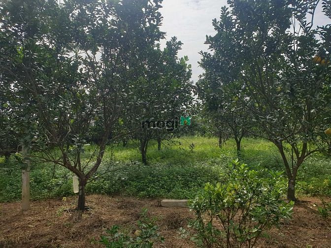 Hình ảnh Bán đất rộng giá rẻ tại thịnh đức, tp thái nguyên,