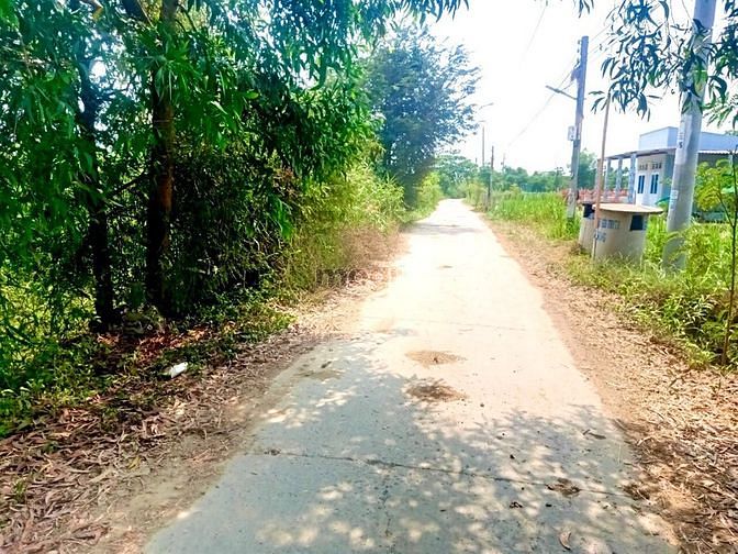 Hình ảnh Dương Hòa- Phước Trung- 2306m2 lúa- 1 tỷ 1 công