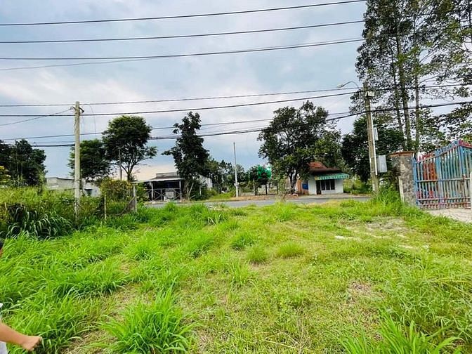 Hình ảnh 12 x 60 Mt Nguyễn Thị Rành full thổ cư giá 7,5 tỷ