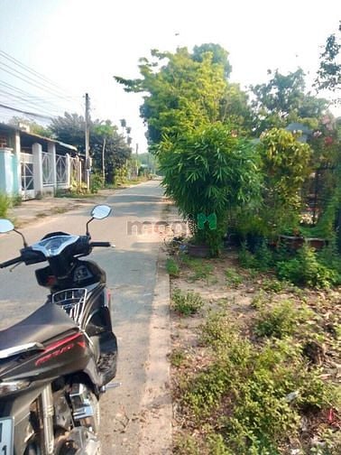 Hình ảnh Đất gần Chợ Long Hoà, Dầu Tiếng, mt nhựa,sát dân ở.Dt 5×42×100m thổ cư