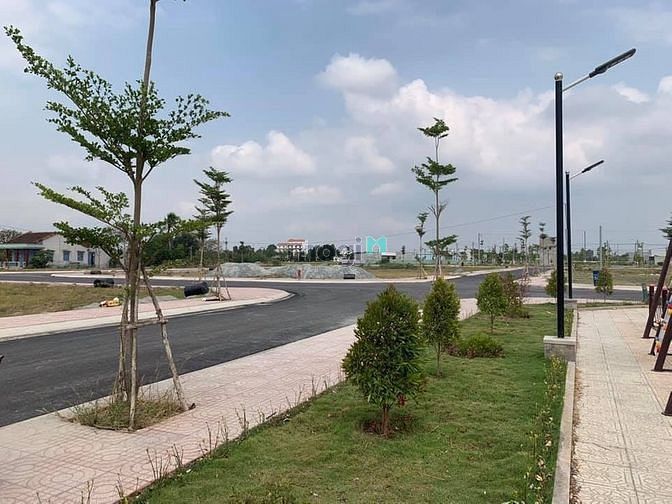 Hình ảnh Đầu tư Đất chủ tịch, Giá nhân viên cực hấp dẫn.