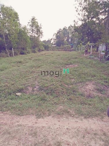 Hình ảnh Bán đất Tây Ninh,SHR,giá 750tr.DT 480m2