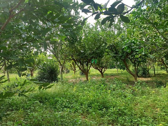 Hình ảnh Bán đất rộng giá rẻ tại thịnh đức, tp thái nguyên,
