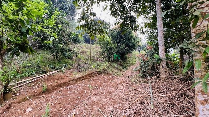 Hình ảnh Bán nhanh 4679m tại thành phố HÒA BÌNH