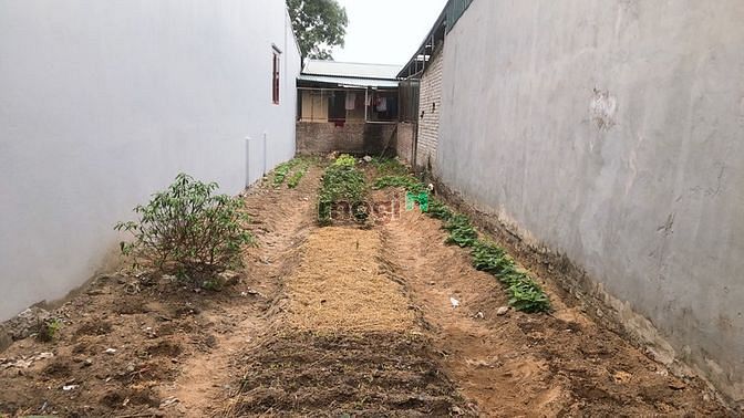 Hình ảnh Không sử dụng đến mảnh đất nằm tại phường Long Biên cần bán gấp