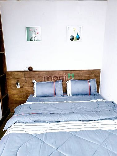 Hình ảnh 📍Cho thuê Trang Chủ MB66.COM / Đăng Ký Tặng 66K 1PN - Có Ban Công gần TT Nowzone - ĐH Sư Phạm⚡
