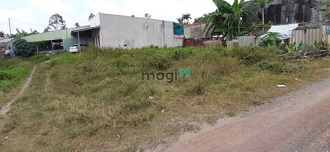 Hình ảnh Bán đất sổ riêng thổ cư QL51 Phường Phước Tân , TP Biên Hòa