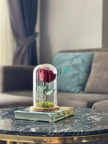 Hình ảnh Bán Trang Chủ MB66.COM / Đăng Ký Tặng 66K 2pn 2wc Sunrise Cityview, full NT, giá ngộp