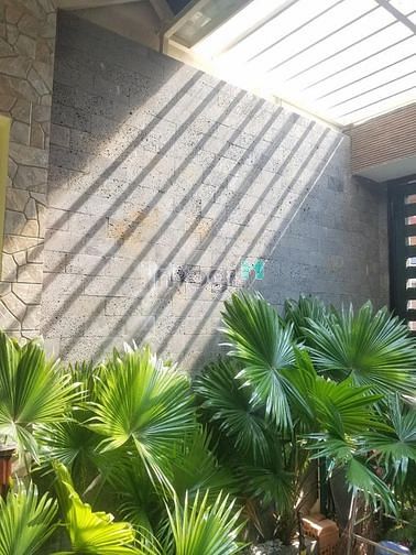 Hình ảnh Bán Nhà Hồng Hà, P2, Tân Bình, 1T3L, 65m2, 12.7 Tỷ