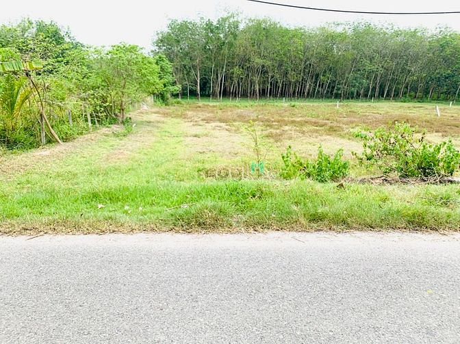 Hình ảnh Bán đất mặt tiền Phú Hiệp, Phú Mỹ Hưng, Củ Chi. 2x 63m,919m, 2,490 tỷ