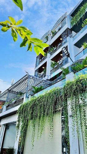 Hình ảnh cho thuê nhà nguyên căn thiết kế dạng biệt thự mini