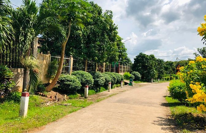 Hình ảnh Đất vườn xoài Bằng Lăng gần Hồ Trị An
