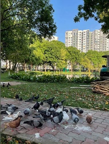 Hình ảnh Cho thuê Trang Chủ MB66.COM / Đăng Ký Tặng 66K khu mới Emerald Celadon City nội thất gần đủ
