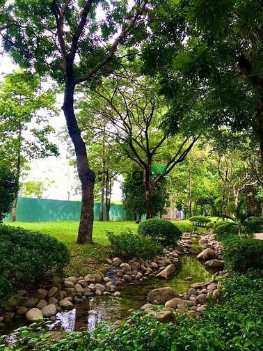 Hình ảnh Cho thuê Trang Chủ MB66.COM / Đăng Ký Tặng 66K khu mới Emerald Celadon City nội thất gần đủ