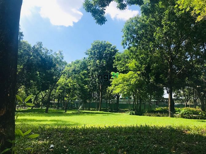 Hình ảnh Cho thuê Trang Chủ MB66.COM / Đăng Ký Tặng 66K khu mới Emerald Celadon City nội thất gần đủ