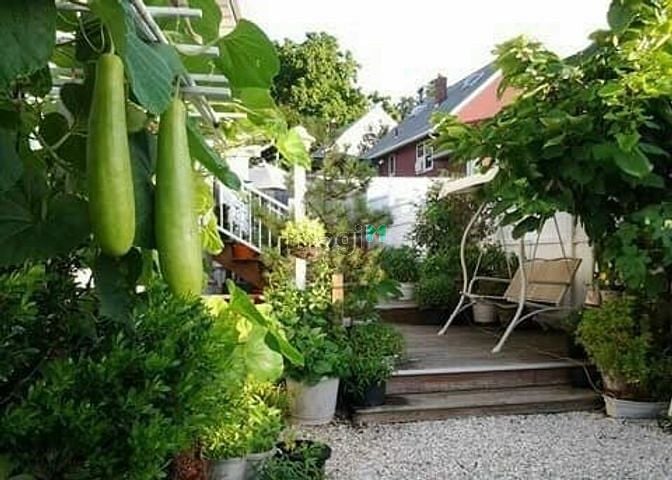 Hình ảnh Bán gấp biệt thự  phường Phú Thuận Quận 7.