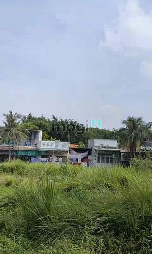 Hình ảnh Bán đất vườn Nguyễn Duy Trinh, P. Trường Thạnh, Q.9, 5000M2, 49TY500