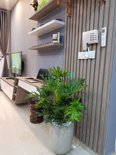 Hình ảnh Bán Trang Chủ MB66.COM / Đăng Ký Tặng 66K Tân Phú Richstar, 65m2 (2PN - 2WC), full nội thất, HĐMB