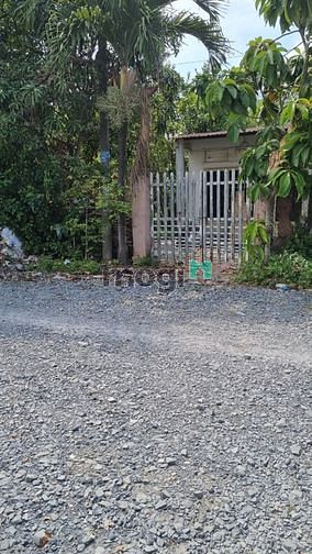 Hình ảnh Bán Đất Đường 10 M Xuân Thới Sơn 12 Hóc Môn.