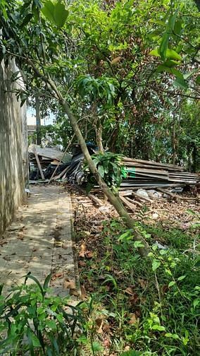 Hình ảnh Bán Đất Đường 10 M Xuân Thới Sơn 12 Hóc Môn.