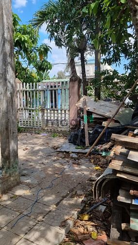 Hình ảnh Bán Đất Đường 10 M Xuân Thới Sơn 12 Hóc Môn.