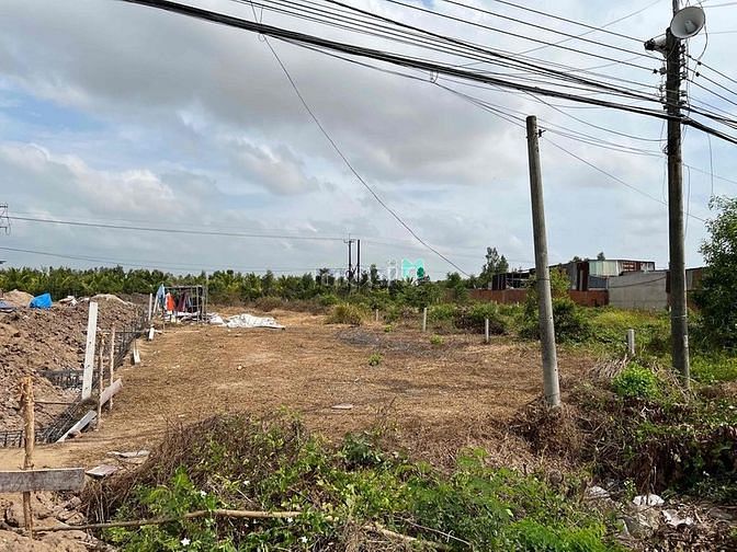 Hình ảnh cho thuê đất mặt tiền lớn 1000m2