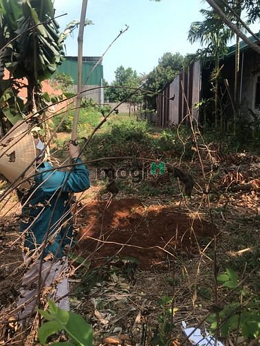 Hình ảnh Bán Đất Mặt Tiền Kinh Doanh đường Tạ Quang Bửu - Thành Nhất - BMT