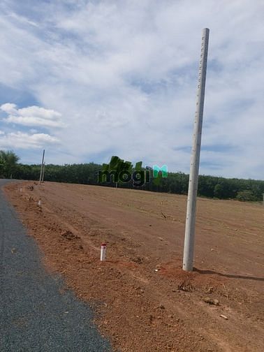 Hình ảnh Cần bán lô đất 2.000m2 sát bên KCN Becamex Bình Phước, chỉ 520Triệu