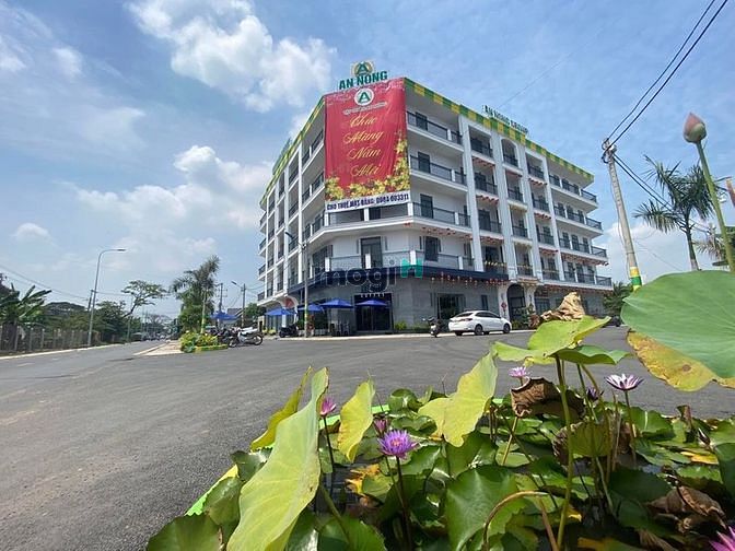 Hình ảnh Duy nhất 10 lô Nội bộ SHR giá cực rẻ cho các nhà Trang MB66.COM Chính Thức - MB 66 Uy Tín