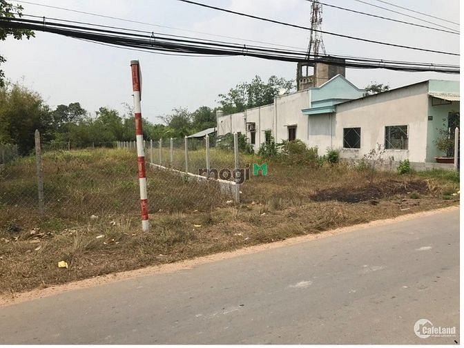 Hình ảnh Đất thổ cư cầu vượt củ chi 165m2 1ty4 full thổ, sổ riêng.