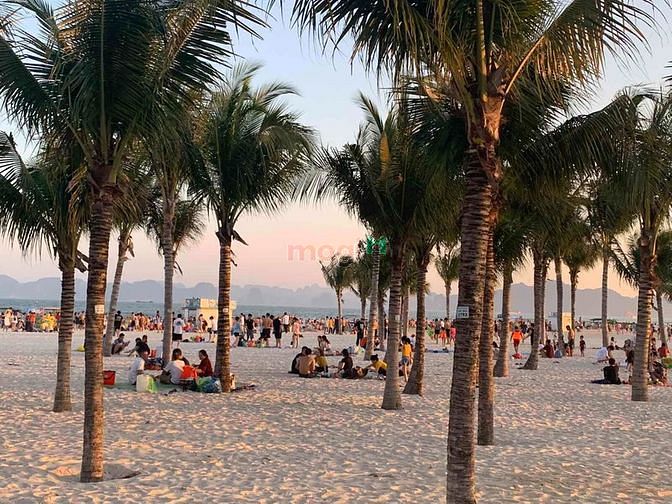 Hình ảnh Tôi cần bán căn Khách sạn 120m2 gần quảng trường Sun Carnival Hạ Long