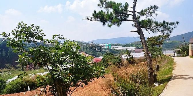 Hình ảnh Cần Bán Đất view thung lũng, Phường 7, 756m-10tr/m TP Đà Lạt