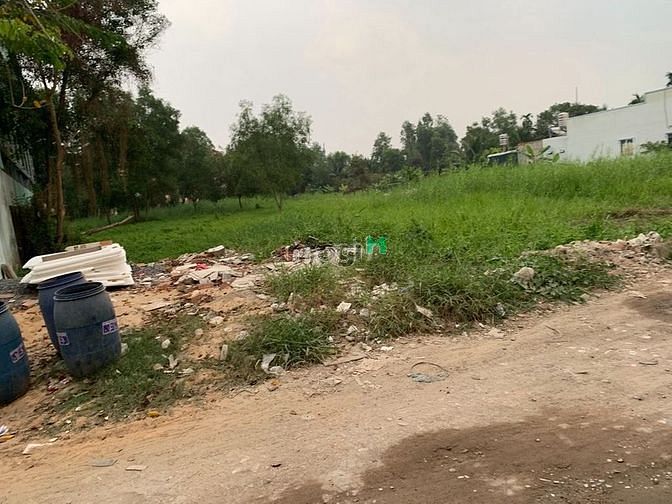 Hình ảnh Bán đất bình mỹ 1795,7 m2 full thổ mặt tiền 171