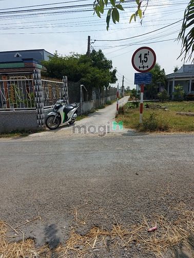 Hình ảnh Đất Cây Lâu Năm Thị Xã Gò Công Tiền Giang giá rẻ