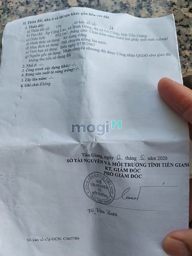Hình ảnh Đất Cây Lâu Năm Thị Xã Gò Công Tiền Giang giá rẻ