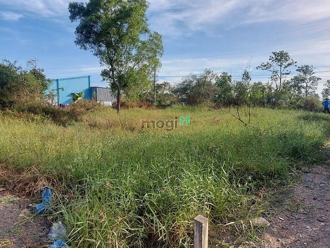 Hình ảnh Đất Cây Lâu Năm Thị Xã Gò Công Tiền Giang giá rẻ