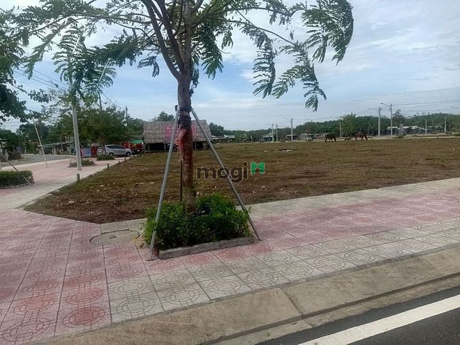 Hình ảnh Dự án đất nền trung tâm thành phố ĐỒNG XOÀI