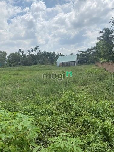 Hình ảnh lô góc 3 mặt tiền rạch Bình Thuận sát khu dân cư
