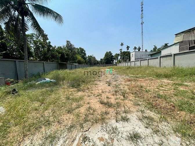 Hình ảnh Bán đất, xã Bình Mỹ, Huyện Củ Chi,DT 1558m2, thổ cư 1253 m2, Giá 14tr