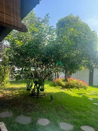 Hình ảnh Biệt thự Thới An, 2MT, Lê Thị Riêng, DT 951m2, Chỉ 35 tỷ