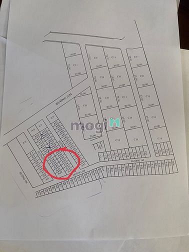 Hình ảnh Bán đất Ấp Rừng Dầu, Mỹ Hạnh Bắc, Đức Hoà, Long An