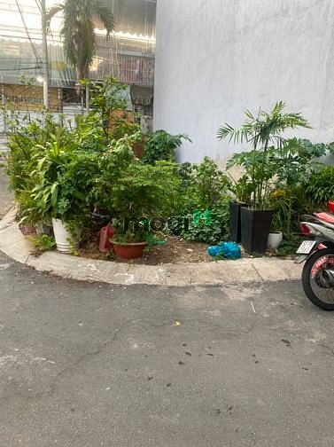 Hình ảnh Bán lô đất đẹp Đường Trần Thái Tông, Phường 15, Quận Tân Bình
